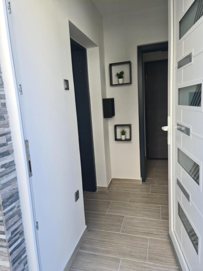 Apartman Nika 茨里克韦尼察 外观 照片