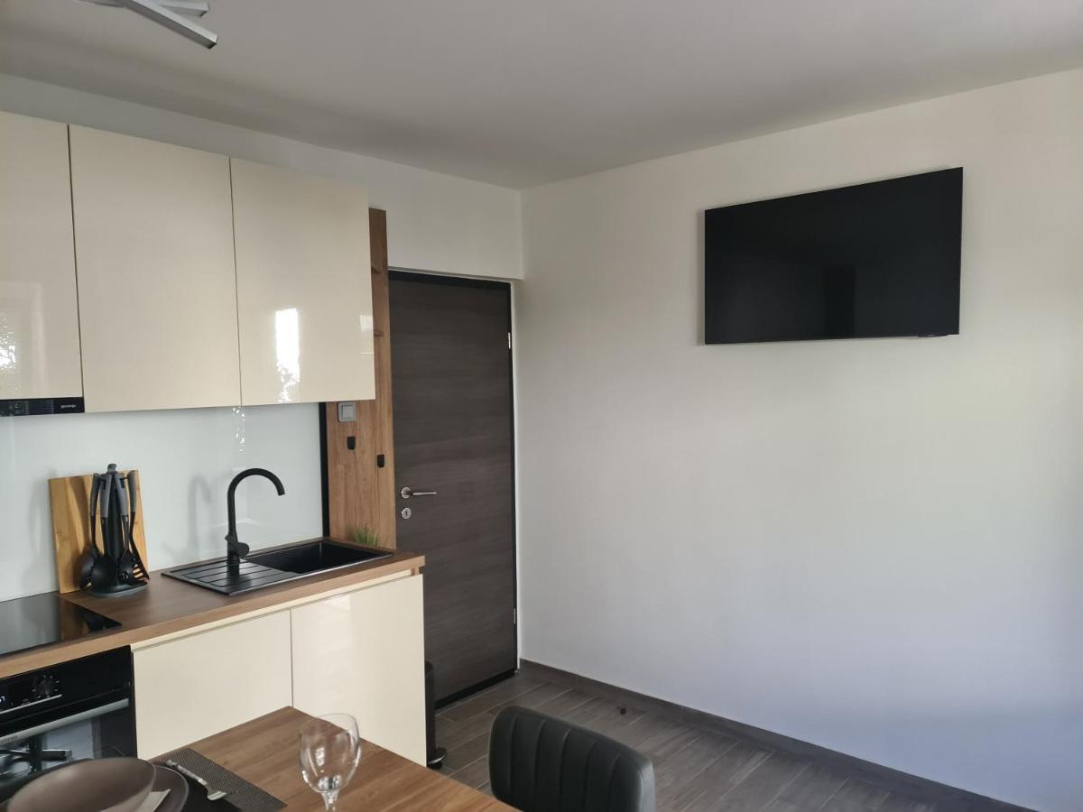 Apartman Nika 茨里克韦尼察 外观 照片