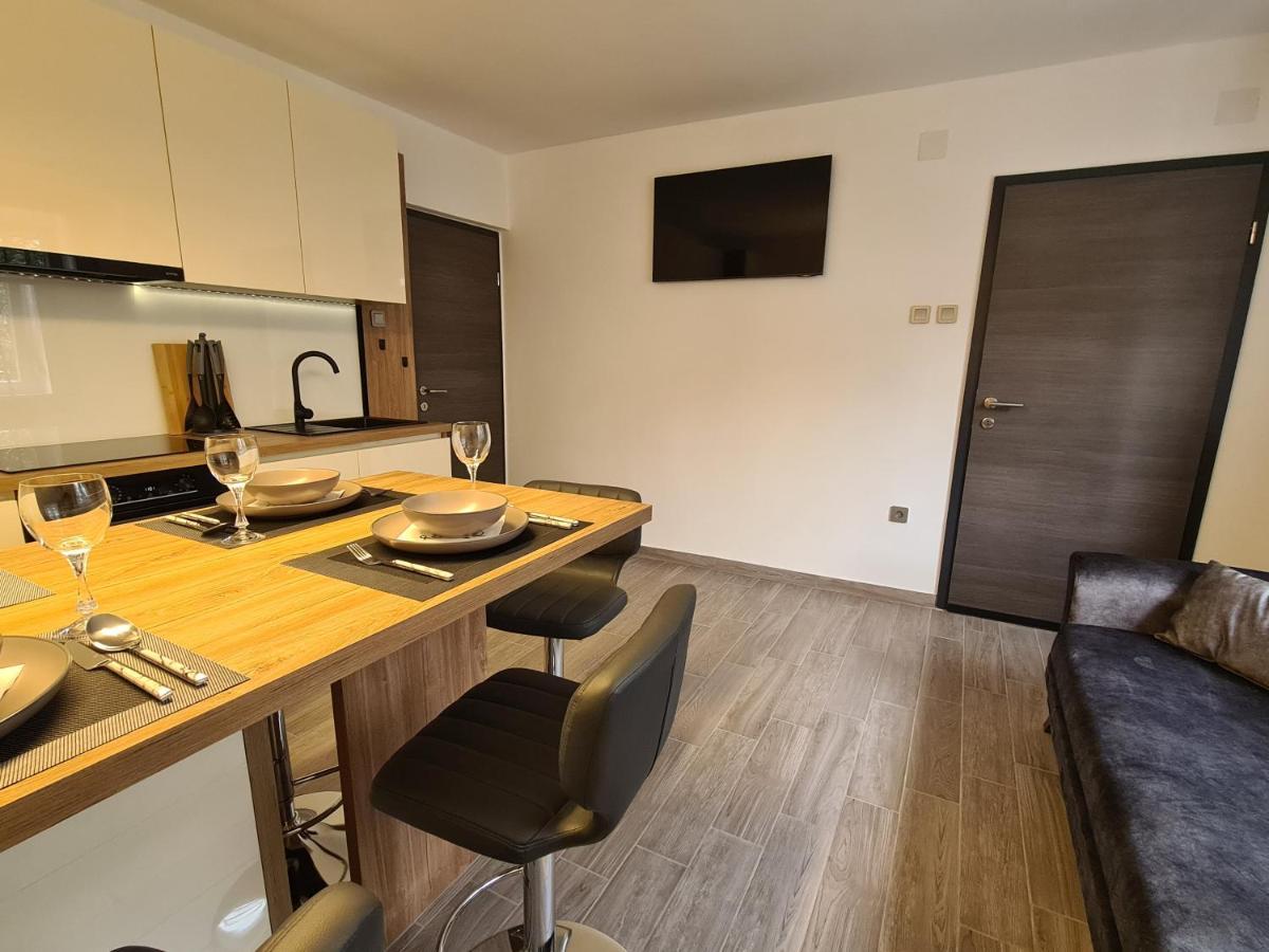 Apartman Nika 茨里克韦尼察 外观 照片